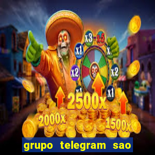 grupo telegram sao jose do rio preto