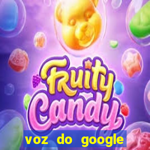 voz do google tradutor homem