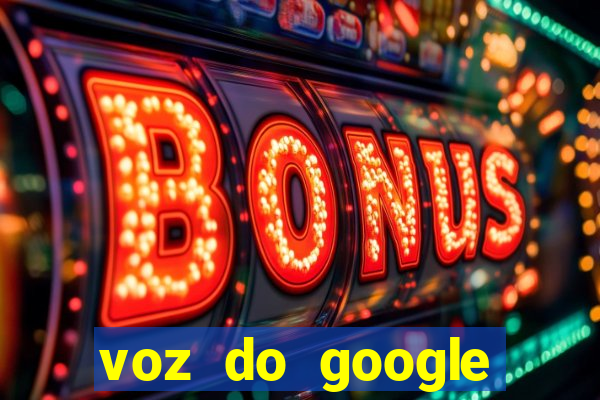 voz do google tradutor homem