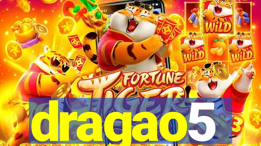 dragao5