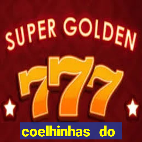 coelhinhas do brasil acompanhantes