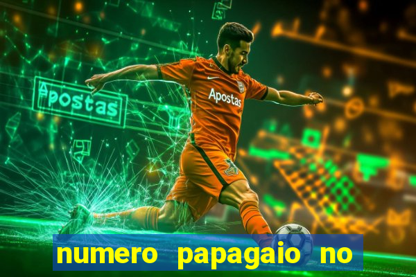 numero papagaio no jogo do bicho