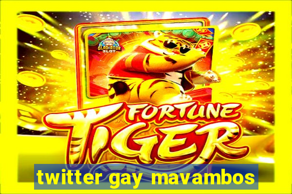 twitter gay mavambos