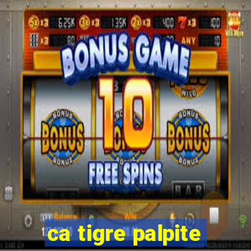 ca tigre palpite