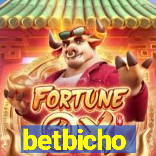 betbicho