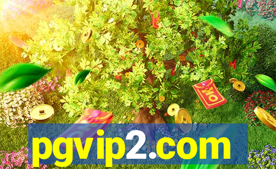 pgvip2.com