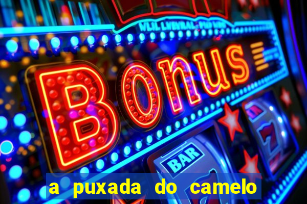 a puxada do camelo no jogo do bicho