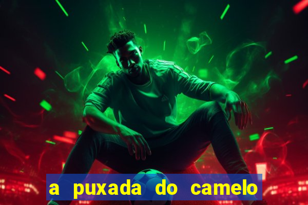 a puxada do camelo no jogo do bicho