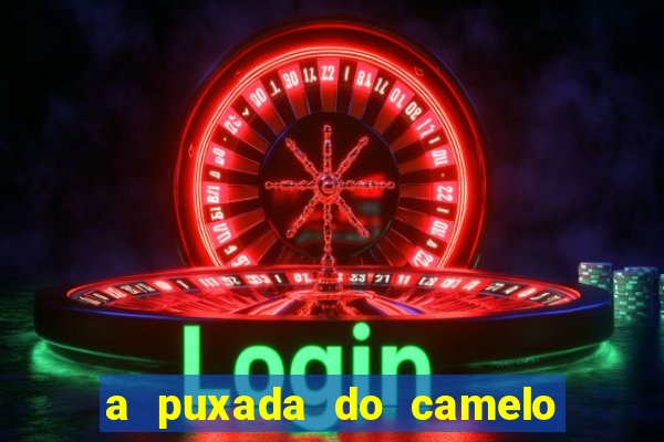 a puxada do camelo no jogo do bicho