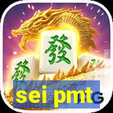 sei pmt