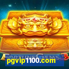 pgvip1100.com