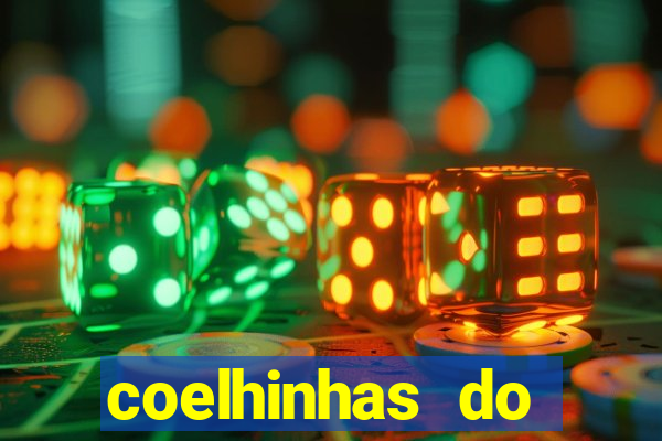 coelhinhas do brasil recife