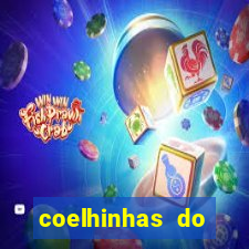 coelhinhas do brasil recife