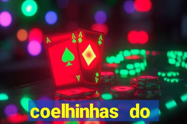 coelhinhas do brasil recife