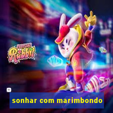 sonhar com marimbondo