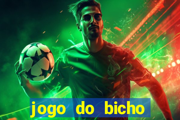 jogo do bicho crash bingo