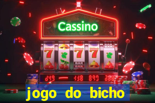 jogo do bicho crash bingo