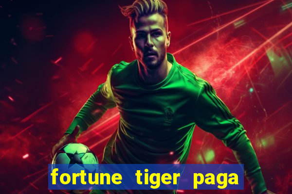 fortune tiger paga de madrugada