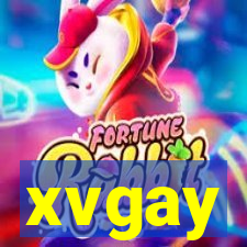 xvgay