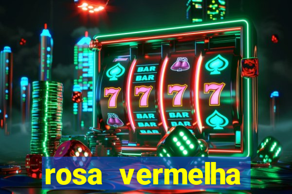 rosa vermelha (letra e cifra)