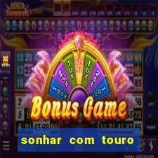 sonhar com touro bravo no mundo espiritual