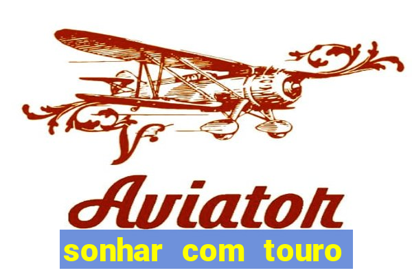 sonhar com touro bravo no mundo espiritual