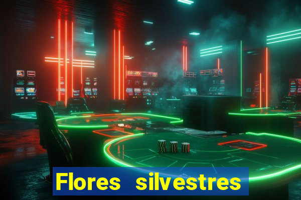 Flores silvestres brasileiras 25