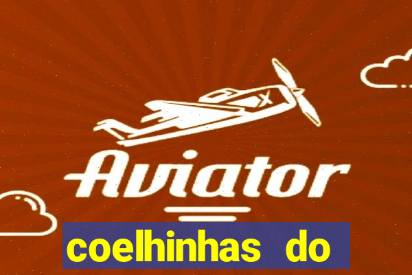 coelhinhas do brasil site