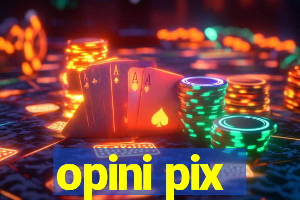 opini pix