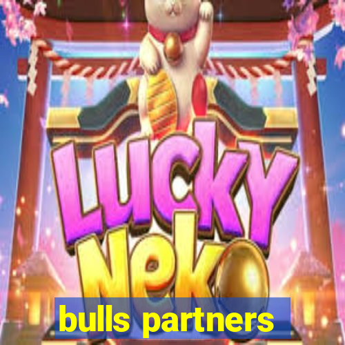 bulls partners