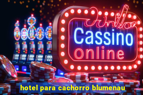 hotel para cachorro blumenau