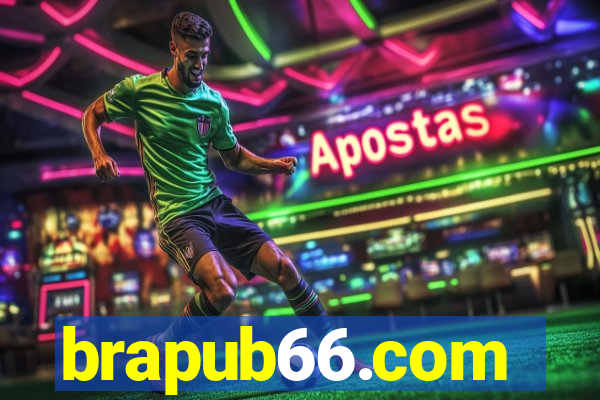 brapub66.com