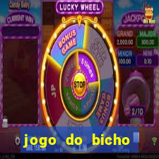 jogo do bicho feira de santana