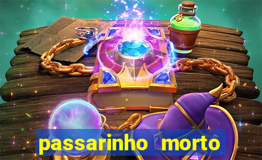 passarinho morto significado espiritual