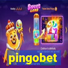 pingobet