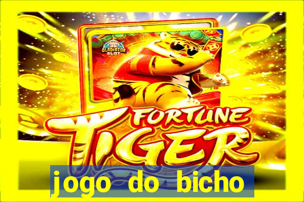 jogo do bicho banca ouro verde