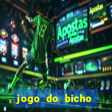 jogo do bicho banca ouro verde