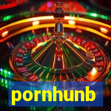 pornhunb