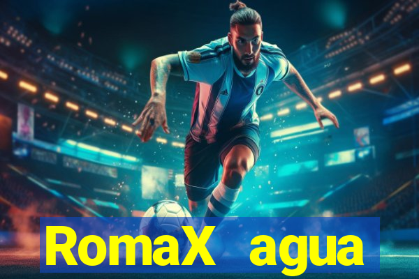 RomaX agua sanitaria fispq agua sanitaria romax