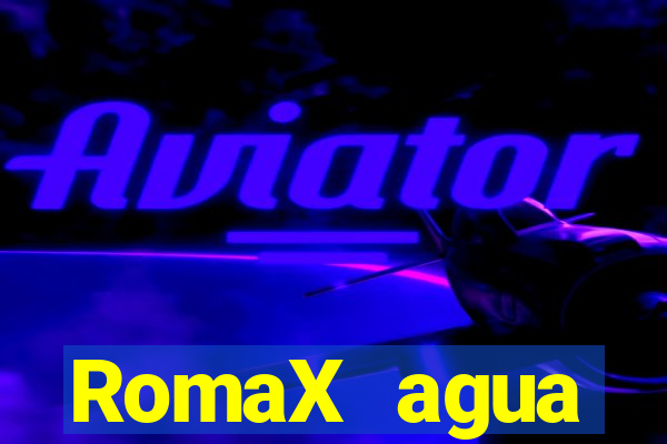 RomaX agua sanitaria fispq agua sanitaria romax