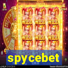 spycebet