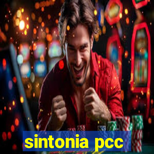 sintonia pcc