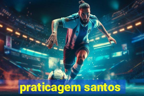 praticagem santos