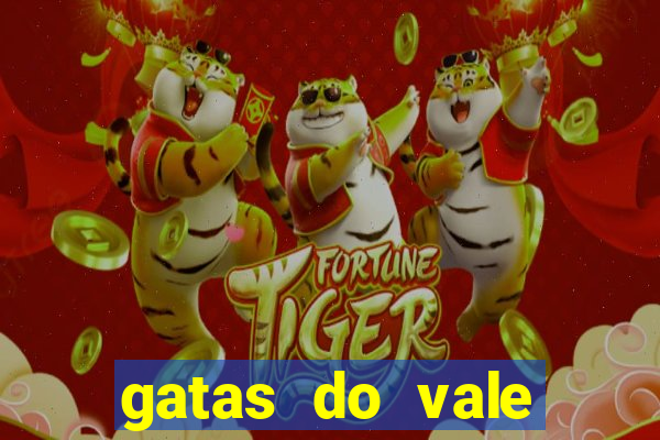 gatas do vale juazeiro ba