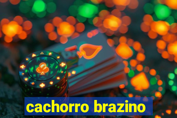 cachorro brazino