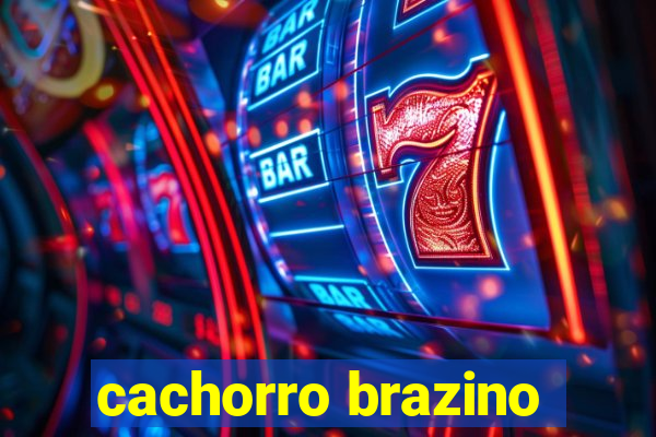 cachorro brazino