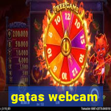 gatas webcam