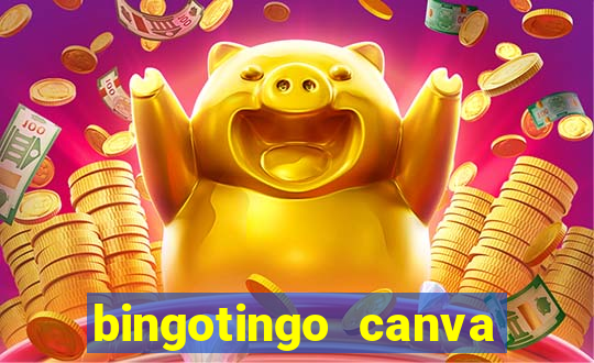 bingotingo canva pro gratis