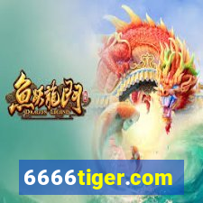 6666tiger.com