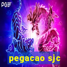 pegacao sjc